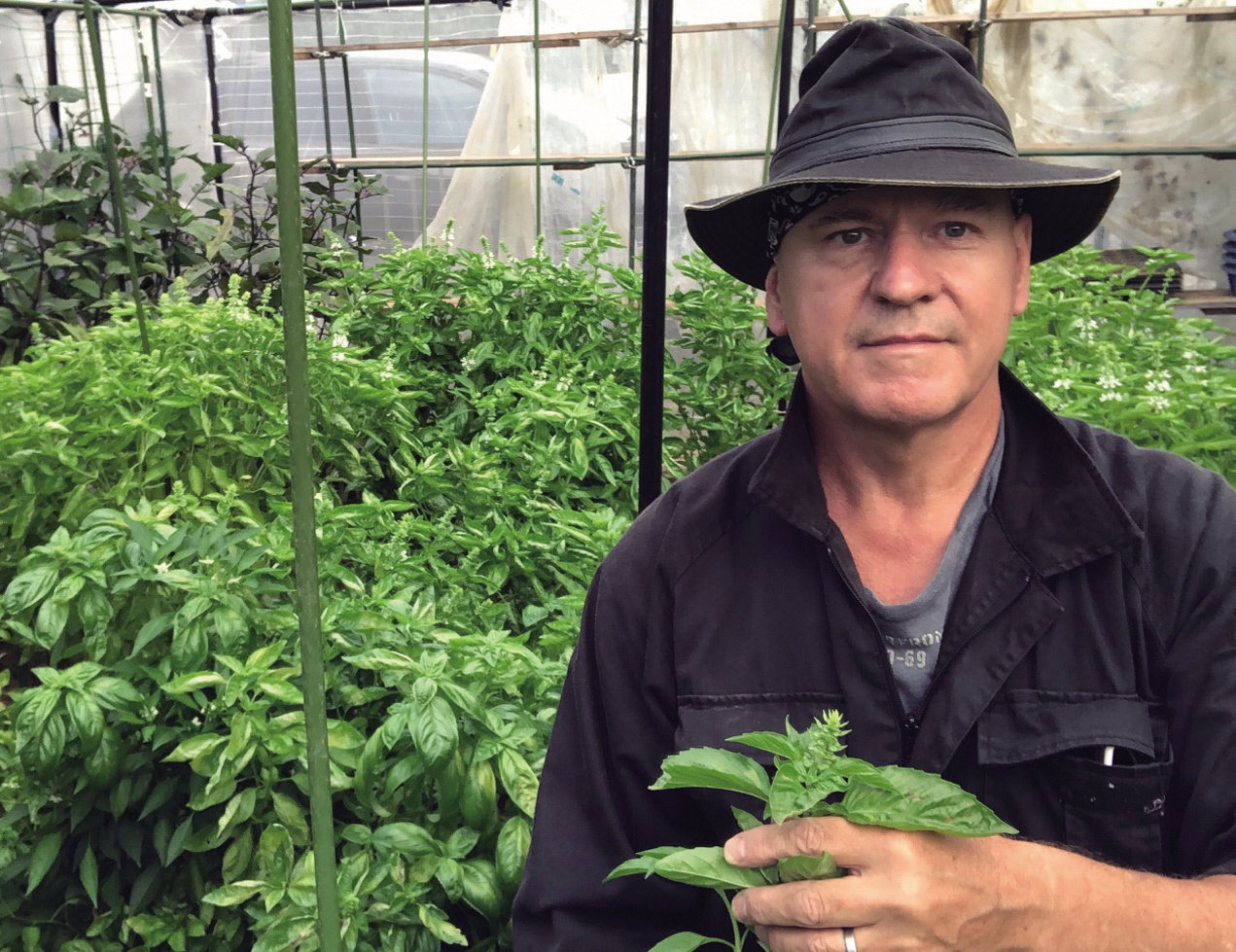 サイバーストロム株式会社 