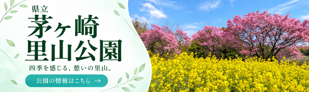 茅ヶ崎里山公園